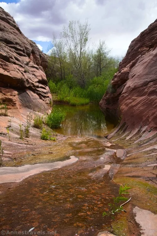 Looking down into the riparian area at the mouth of Willow Springs Canyon, Arches National Park, Utah