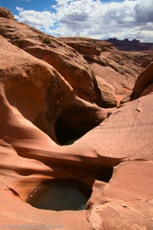 Potholes full of water and buttes beyond Willow Springs Canyon, Arches National Park, Utah