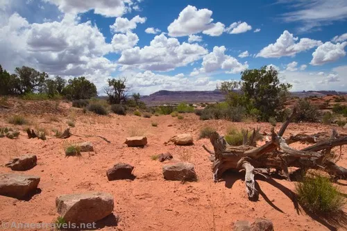 The Willow Springs Canyon "trailhead," Arches National Park, Utah