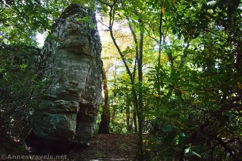 One of the huge rocks along the Appalachian Trail en route to McAfee Knob, Jefferson National Forest, Virginia