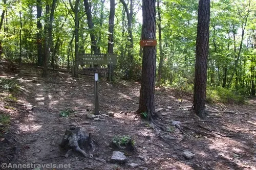 The signs near the campsite junction on the Appalachian Trail en route to McAfee Knob, Jefferson National Forest, Virginia