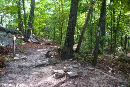 The old fire road junction (the AT goes right) to McAfee Knob, Jefferson National Forest, Virginia