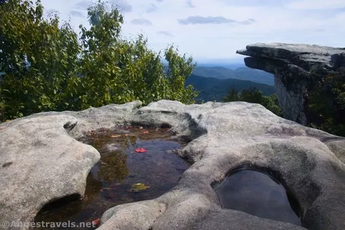 Puddle on McAfee Knob, Jefferson National Forest, Virginia