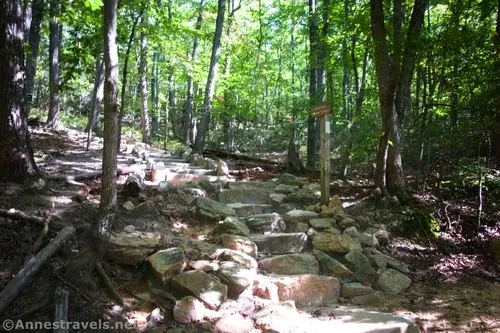 Steps on the Appalachian Trail just after crossing the fire road for the second time en route to McAfee Knob, Jefferson National Forest, Virginia