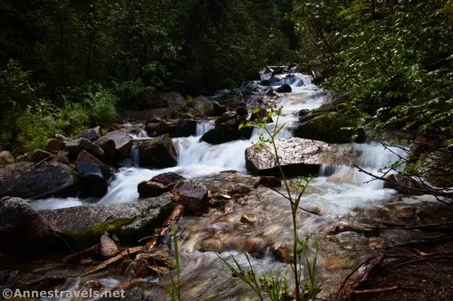 White Pine Fork along the Gloria Falls Trail, Uinta-Wasatch-Cache National Forest, Utah