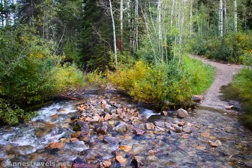 On the bridge crossing Little Cottonwood Creek - I think the trail is for the horses, Uinta-Wasatch-Cache National Forest, Utah