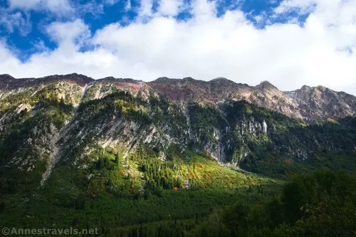 Autumn colors on the mountains across Little Cottonwood Canyon from the Gloria Falls Trail, Uinta-Wasatch-Cache National Forest, Utah