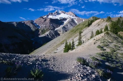 Evening at the Zigzag Overlook... I'm standing on the trail that would take you down into Zigzag Canyon, Mount Hood National Forest, Washington