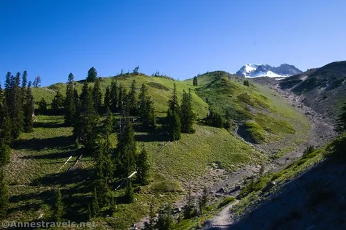 Hiking through meadows (I think into Little Zigzag Canyon, but it might be a different ravine along the way), Mount Hood National Forest, Washington