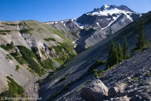 Zigzag Canyon in the morning from the Zigzag Overlook, Mount Hood National Forest, Washington