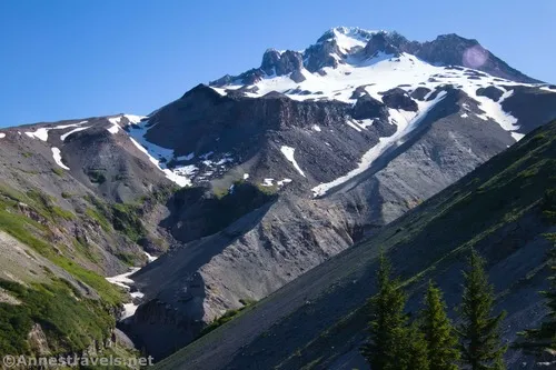 Mt. Hood in the morning from the Zigzag Overlook, Mount Hood National Forest, Washington