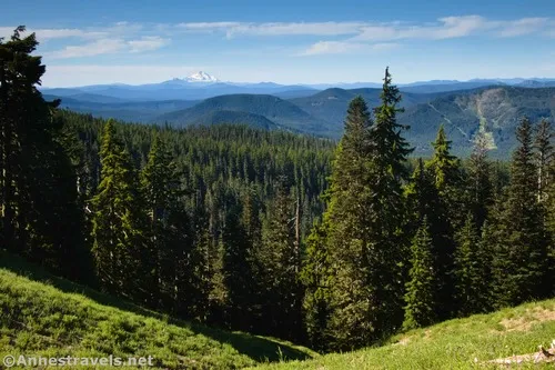 Views toward Mt. Jefferson from near the Zigzag Overlook, Mount Hood National Forest, Washington