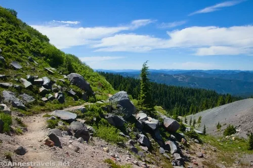 Hiking back on the Paradise Park Trail, Mount Hood National Forest, Washington