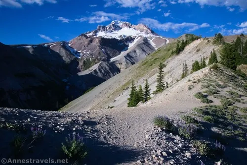 Evening at the Zigzag Overlook - it has great lighting in both the morning and the evening, Mount Hood National Forest, Washington