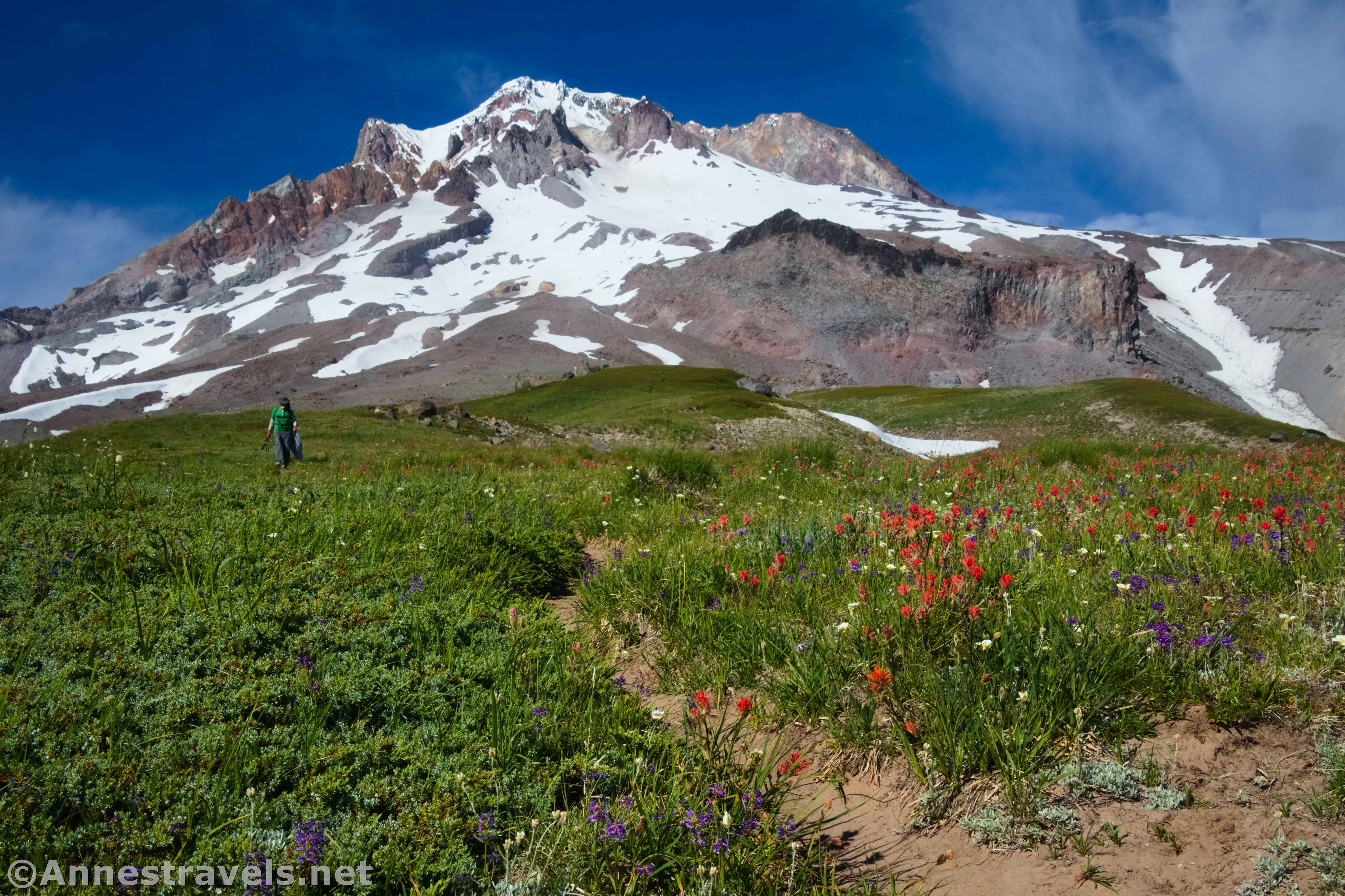 Hiking down the social trail in Paradise Park below Mt. Hood, Mount Hood National Forest, Washington