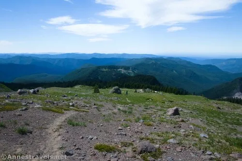 Looking back down while heading up toward the top of the ridge in Paradise Park, Mount Hood National Forest, Washington