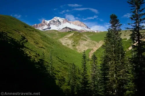 The one and only view of Mt. Hood while we were hiking back to the PCT on the Paradise Loop Trail, Mount Hood National Forest, Washington