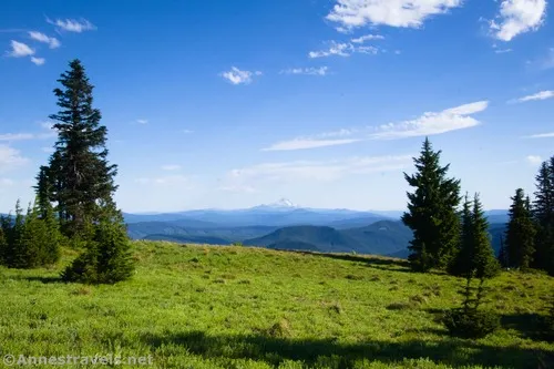 Green meadows and distant views to Mt. Jefferson above Paradise Park, Mount Hood National Forest, Washington