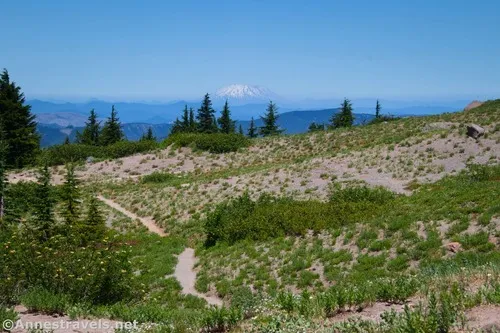 Views of Mt. St. Helens from near where I turned around at the end of Paradise Park, Mount Hood National Forest, Washington