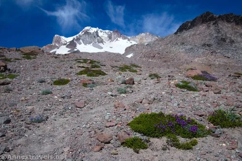 Hiking upward, with Mississippi Head on the right above Paradise Park and Zigzag Canyon, Mount Hood National Forest, Washington