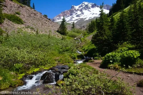 A small stream on the far side of Paradise Park, Mount Hood National Forest, Washington