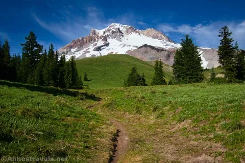 Looking up the social trail that is the extension of Trail No. 778 in Paradise Park, Mount Hood National Forest, Washington