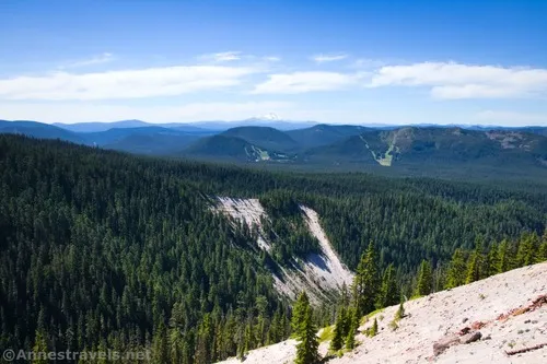 View near the PCT/Trail No. 778 junction en route to Paradise Park, Mount Hood National Forest, Washington