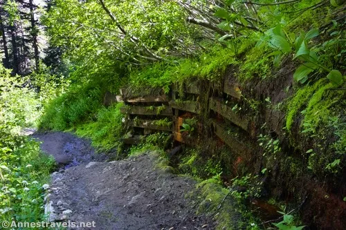 A retaining wall along the switchbacks down to Zigzag Creek en route to Paradise Park, Mount Hood National Forest, Washington