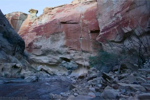 Hiking back upcanyon toward Wiregrass Bridge in Wiregrass Canyon, Glen Canyon National Recreation Area, Utah