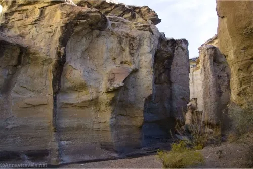 Walls in the slot canyon of Wiregrass Canyon, Glen Canyon National Recreation Area, Utah