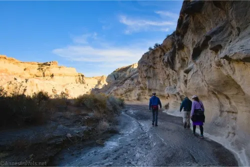 Continuing down Wiregrass Canyon, Glen Canyon National Recreation Area, Utah