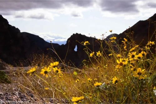 Eye of the Needle Arch and Brittlebush Flowers in Echo Canyon, Death Valley National Park, California