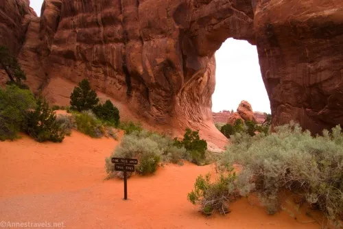 Pine Tree Arch in Devils Garden, Arches National Park, Utah