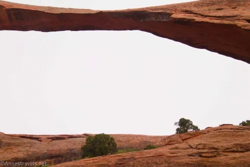 Zoomed in on Landscape Arch in Devils Garden, Arches National Park, Utah