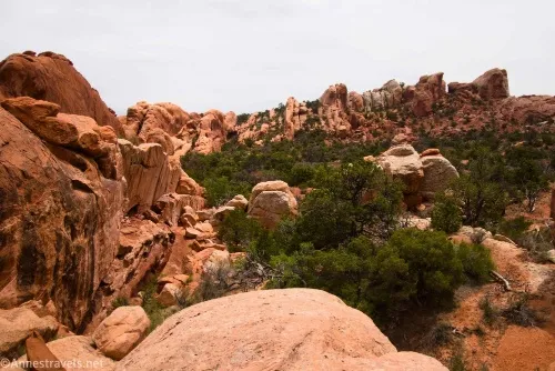 Making our way back to the Primitive Loop in Devils Garden, Arches National Park, Utah