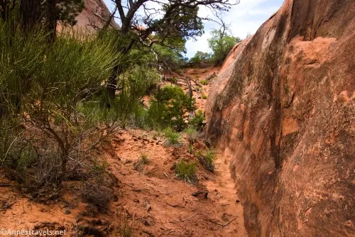 The route up to Hidden Arch in Devils Garden, Arches National Park, Utah
