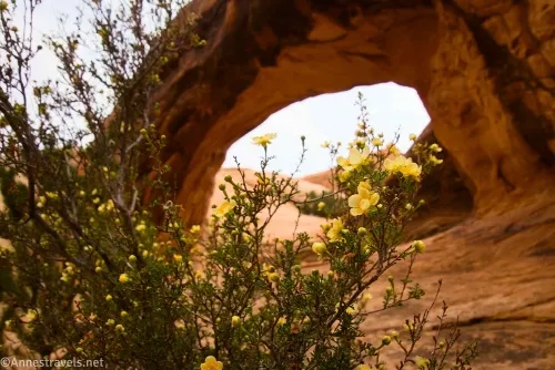 Private Arch in Devils Garden, Arches National Park, Utah