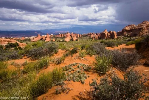 Post-storm views after exiting Fin Canyon along the Primitive Loop, Arches National Park, Utah
