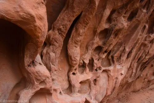 Holes in the side of a fin near Navajo Arch in Devils Garden, Arches National Park, Utah