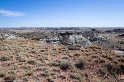 Walking along the basin on the mesatop on the way to First Forest Point, Petrified Forest National Park, Arizona