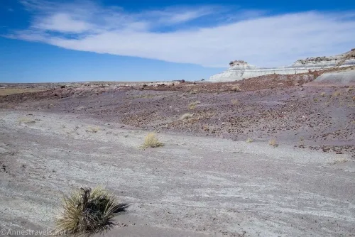 Badlands shortly after entering the wash on the way to First Forest Point, Petrified Forest National Park, Arizona