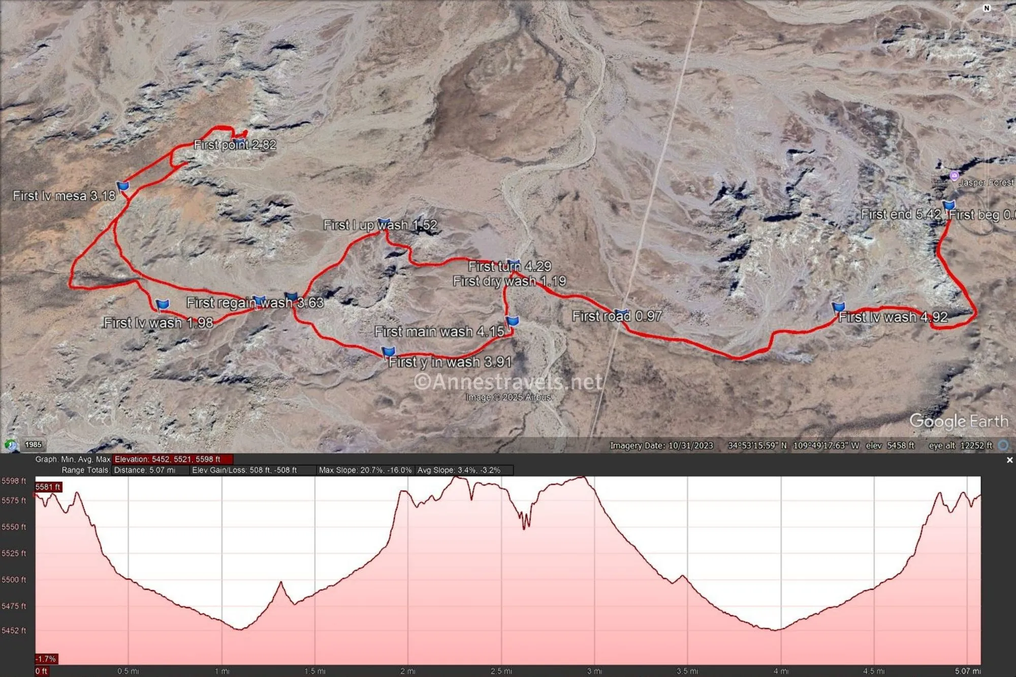 My route to and from First Forest Point... I wandered all over the place! Petrified Forest National Park, Arizona