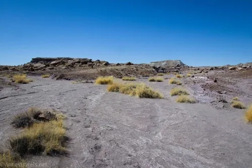 The Y in the smaller wash on the way to First Forest Point, Petrified Forest National Park, Arizona