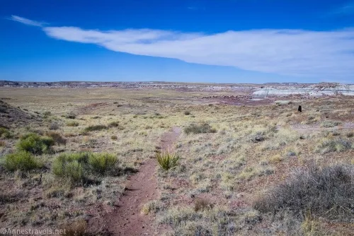 Hiking down into the first wash en route to First Forest Point, Petrified Forest National Park, Arizona