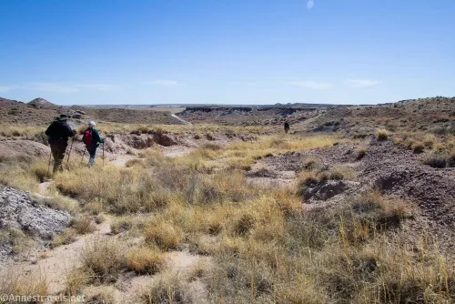 Hiking back down the watercourse that leads between the final wash and the mesa top near First Forest Point, Petrified Forest National Park, Arizona