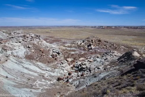Views from First Forest Point, Petrified Forest National Park, Arizona