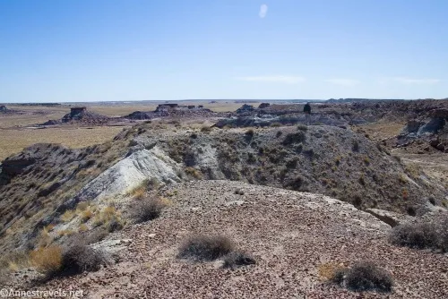 The route out to First Forest Point (the white part is the sketchy section), Petrified Forest National Park, Arizona