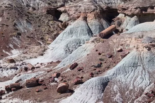 A petrified log in the badlands below First Forest Point, Petrified Forest National Park, Arizona