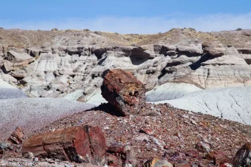A lone piece of petrified wood along the route to First Forest Point, Petrified Forest National Park, Arizona