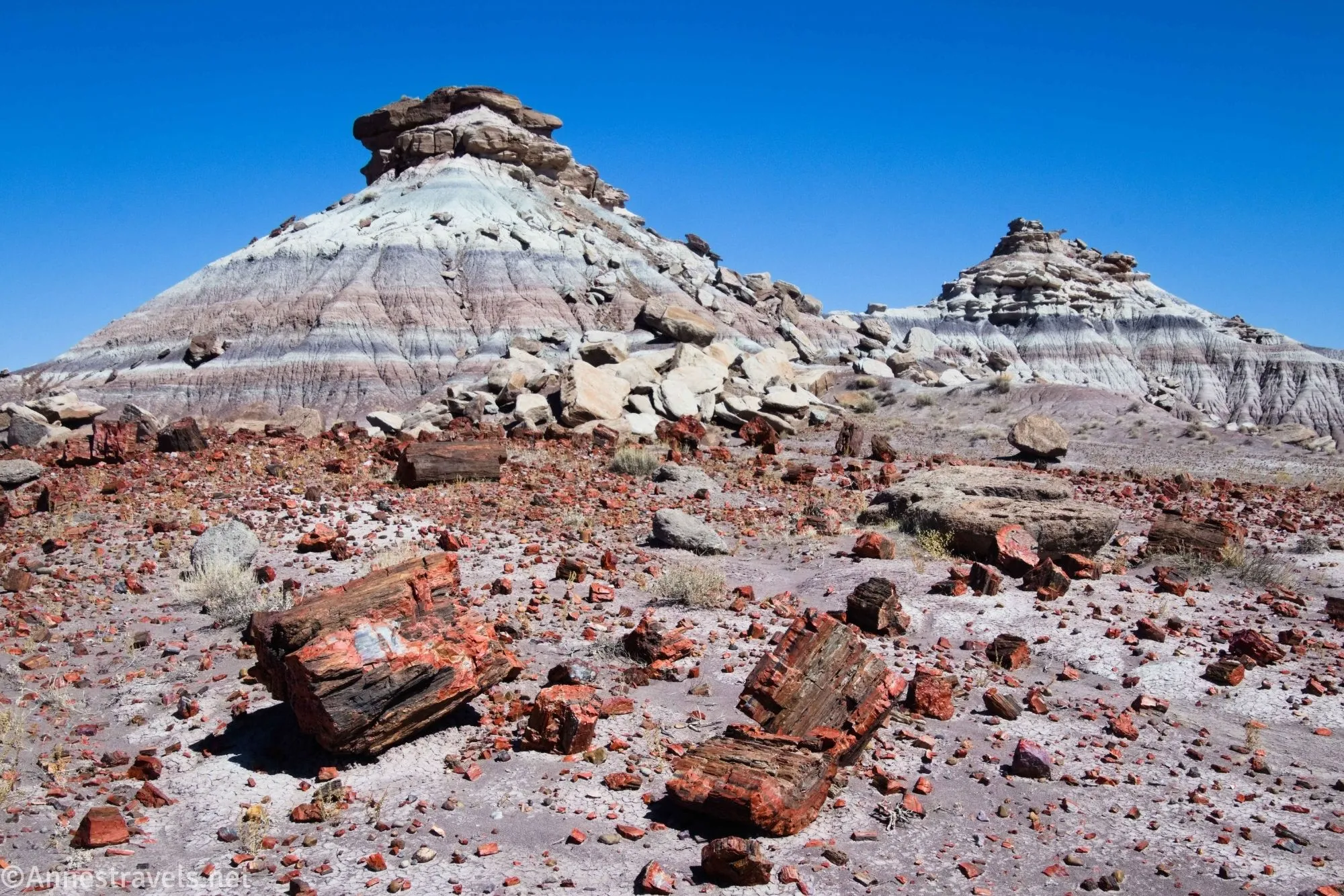 Petrified wood and badlands along the route to First Forest Point, Petrified Forest National Park, Arizona